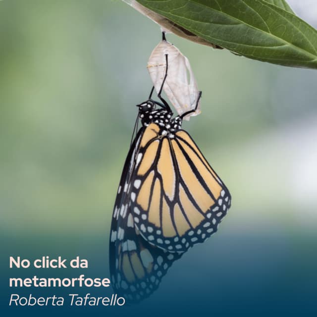 tpp14-_-no-click-da-metamorfose