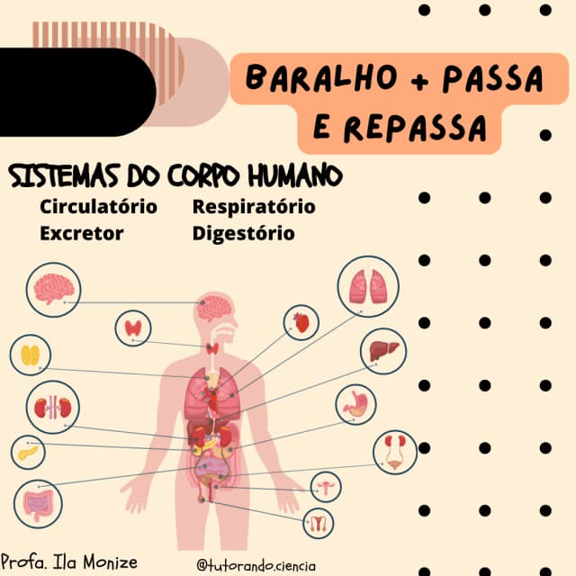 capa-baralho-folder-sistemas