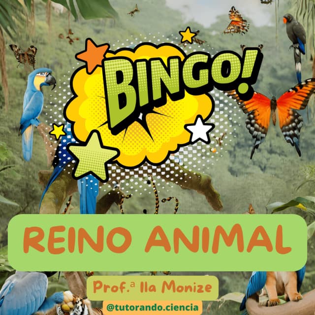 capa-bingo-reino-animal-venda