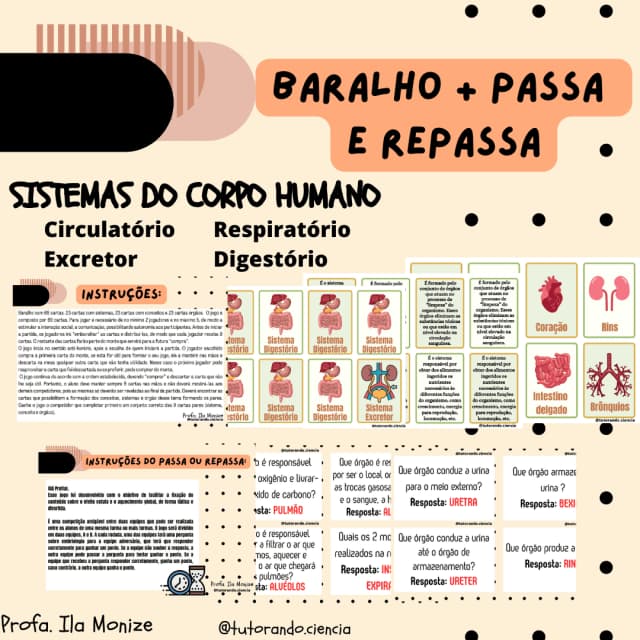 contracapa-baralho-folder-sistemas