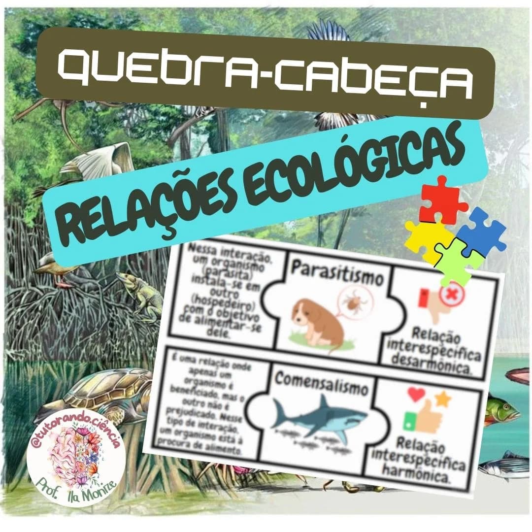 arte-relacoes-ecologicas