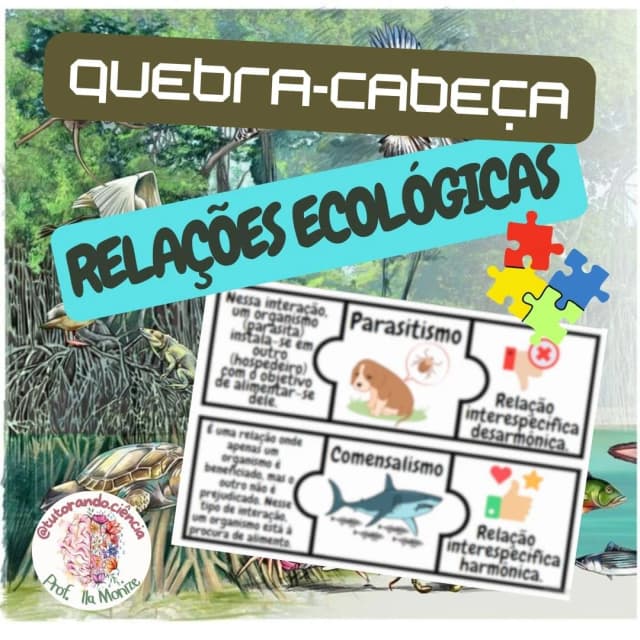 arte-relacoes-ecologicas
