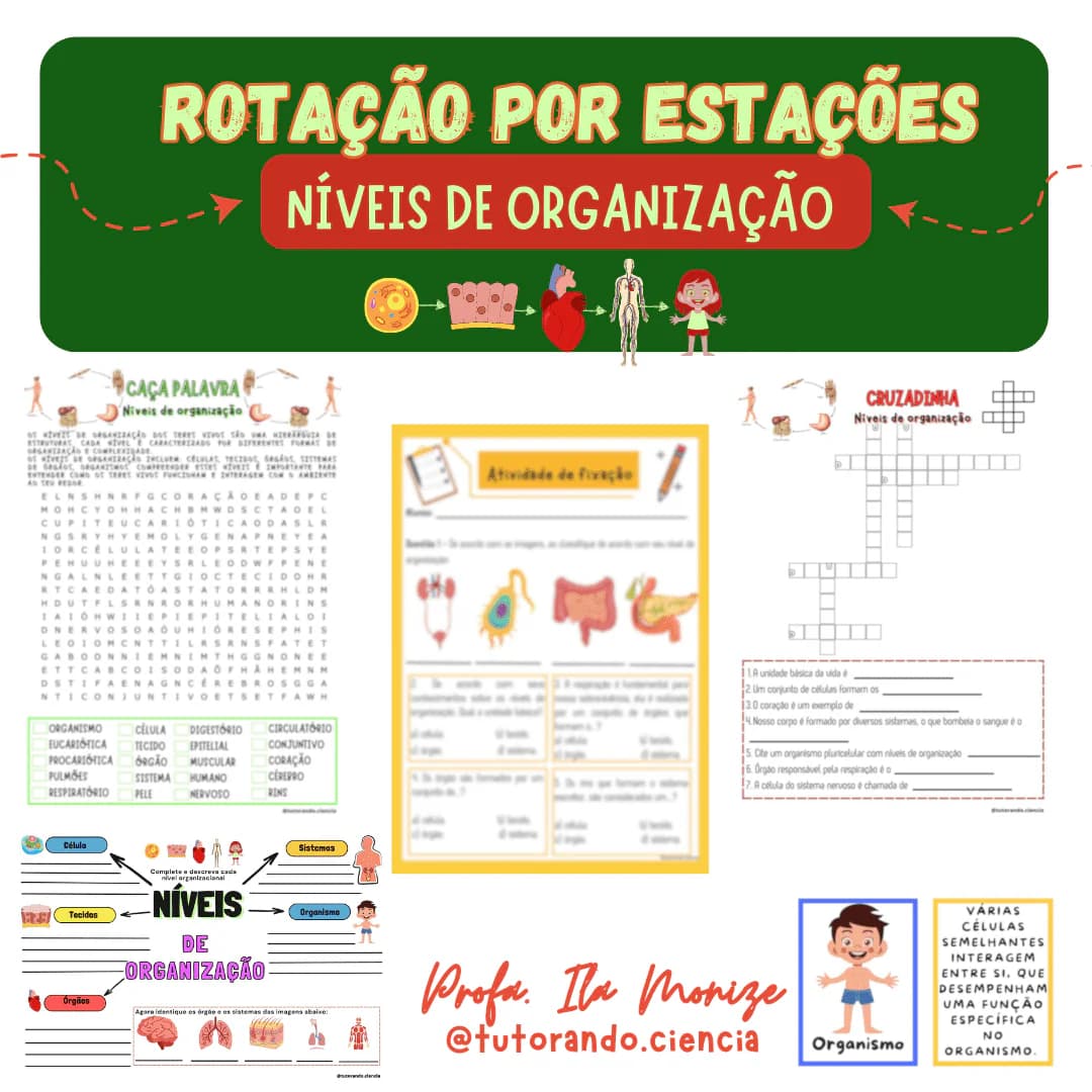 capa-rotacao-niveis-de-organizacao-1