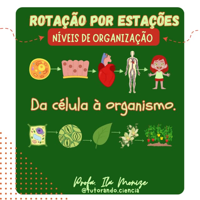 capa-rotacao-niveis-de-organizacao