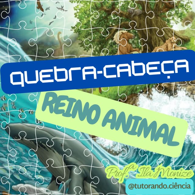 designer-quebra-animal