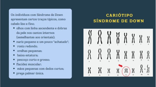 captura-de-tela-2024-09-24-232023