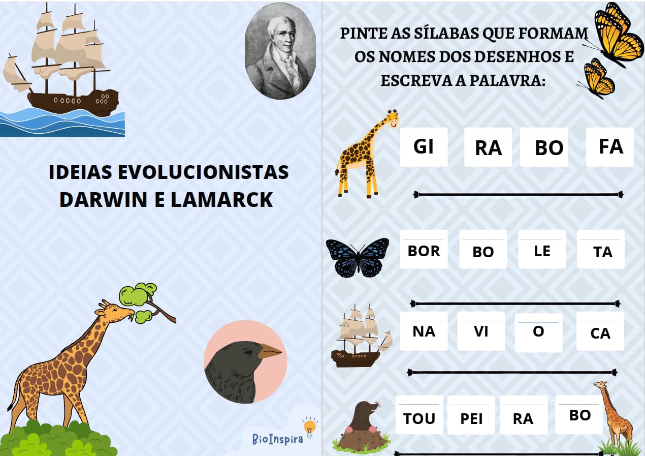 captura-de-tela-2024-09-25-141346