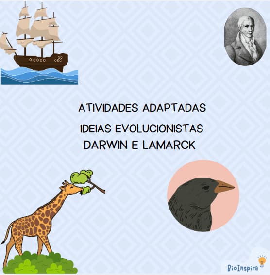 captura-de-tela-2024-09-25-142045