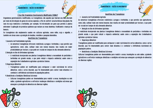 captura-de-tela-2024-10-06-083214