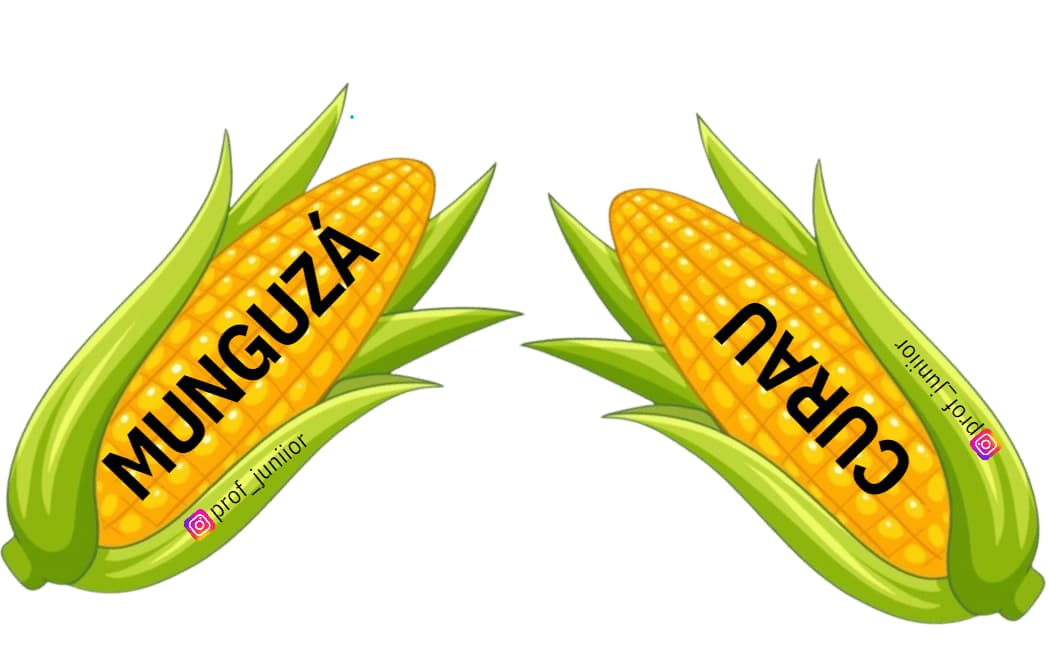 captura-de-tela-2024-10-09-203930