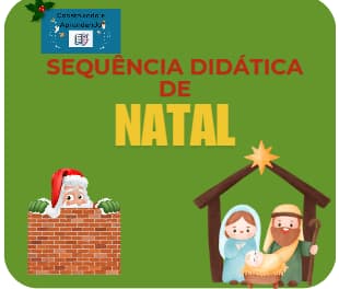 captura-de-tela-2024-11-29-101945