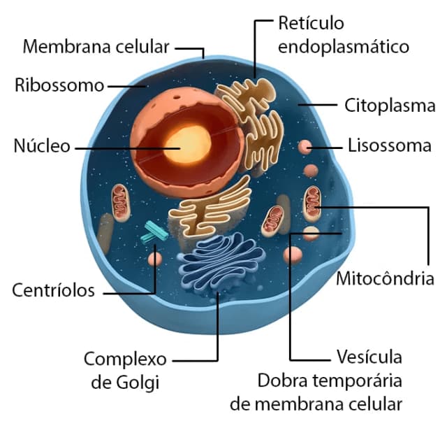 sem-titulo-9
