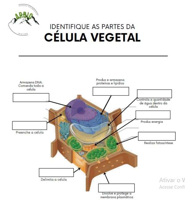 atividades-2-2