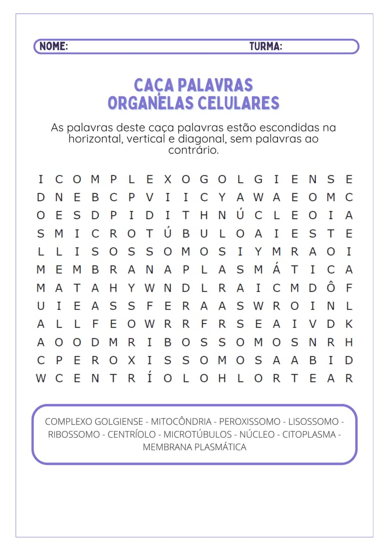 atividade-sobre-organelas-celulares-3