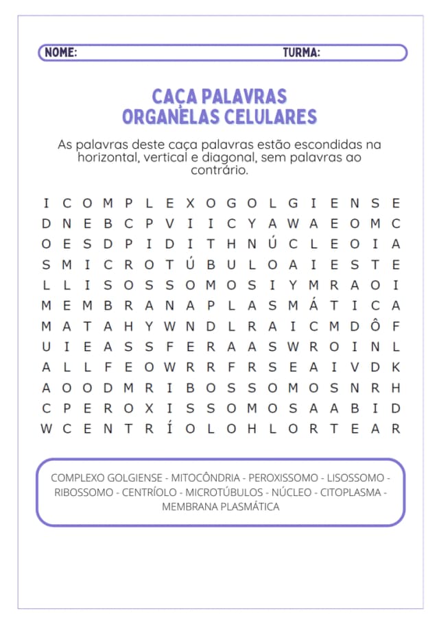 atividade-sobre-organelas-celulares-3