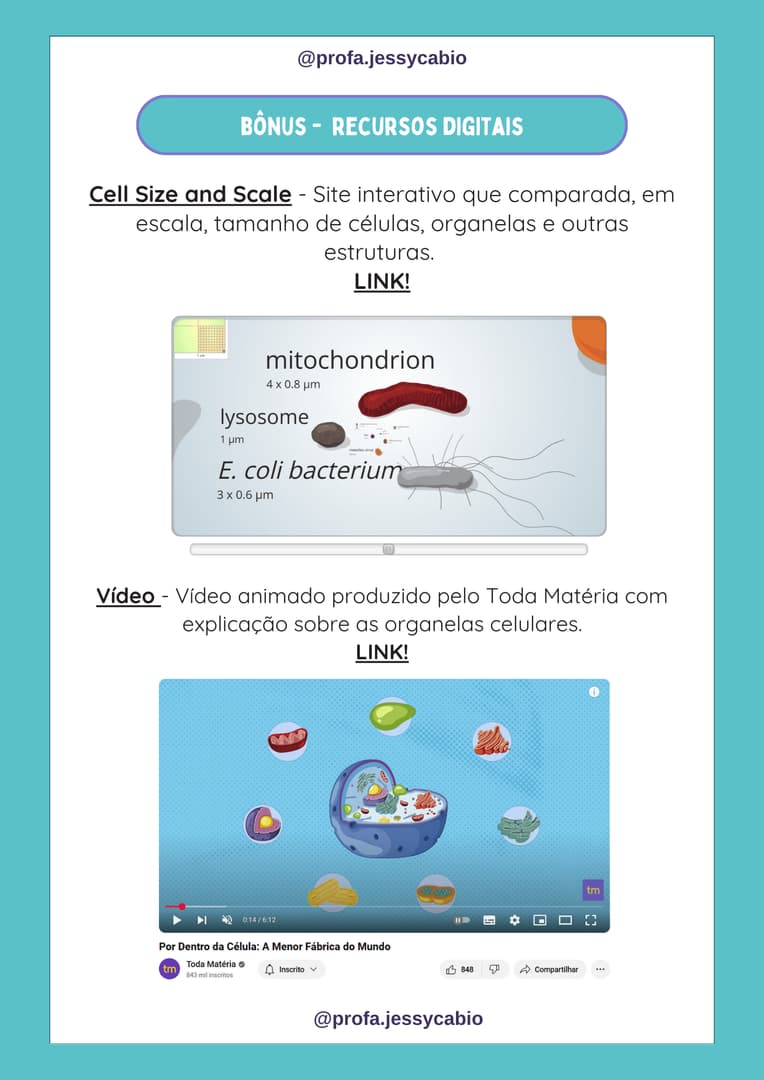 atividade-sobre-organelas-celulares-5