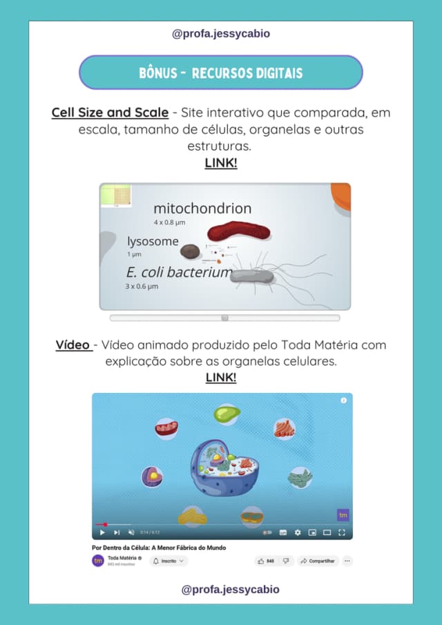 atividade-sobre-organelas-celulares-5