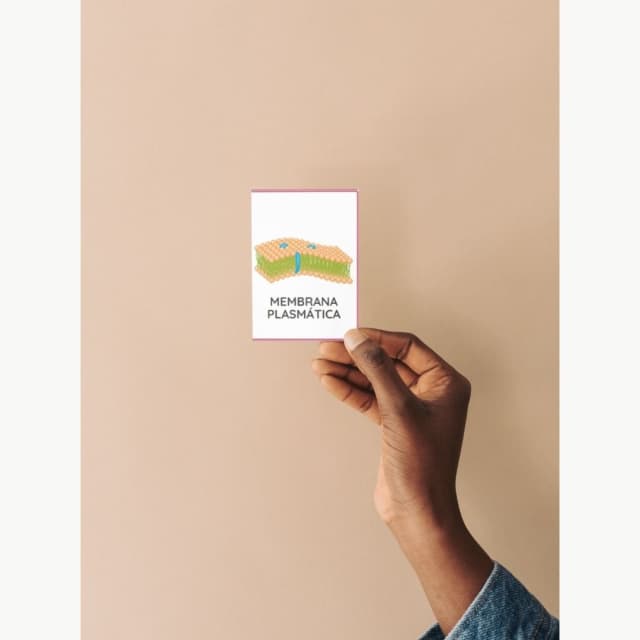 capas-para-a-lojinha-1-5