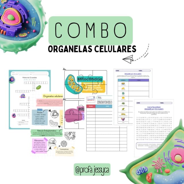 capas-para-a-lojinha-13-2