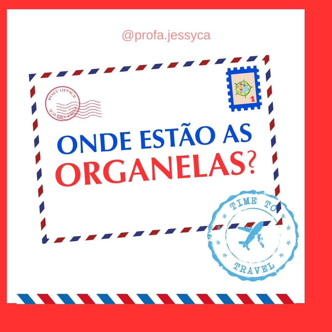 capas-para-a-lojinha-2-2