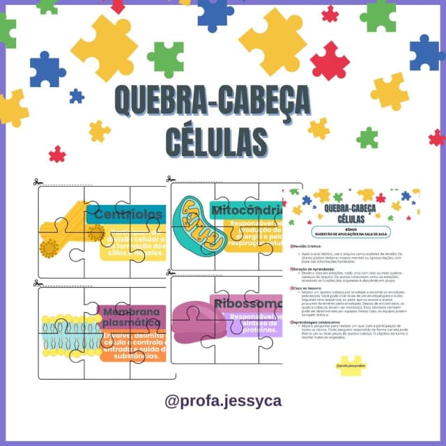 capas-para-a-lojinha-4-2