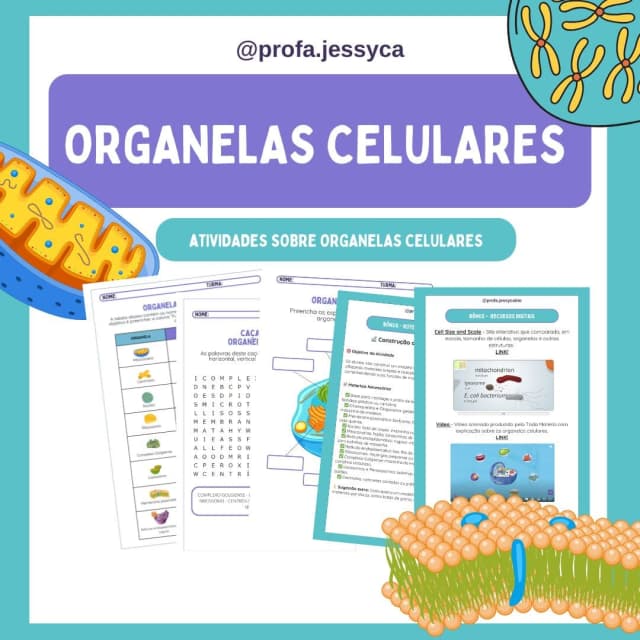 capas-para-a-lojinha-6-2