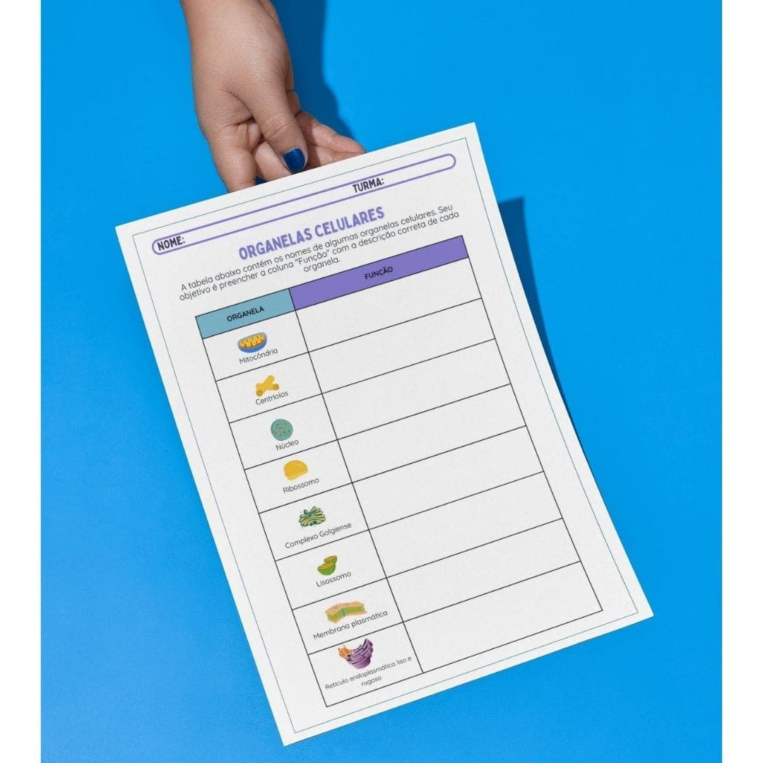 capas-para-a-lojinha-7-4