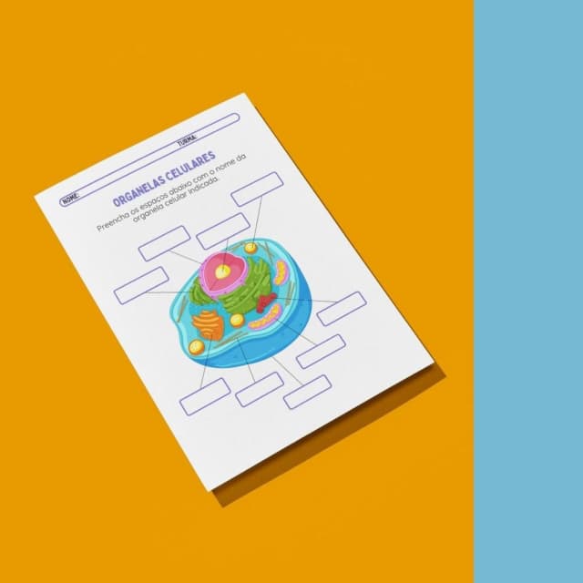 capas-para-a-lojinha-8-3