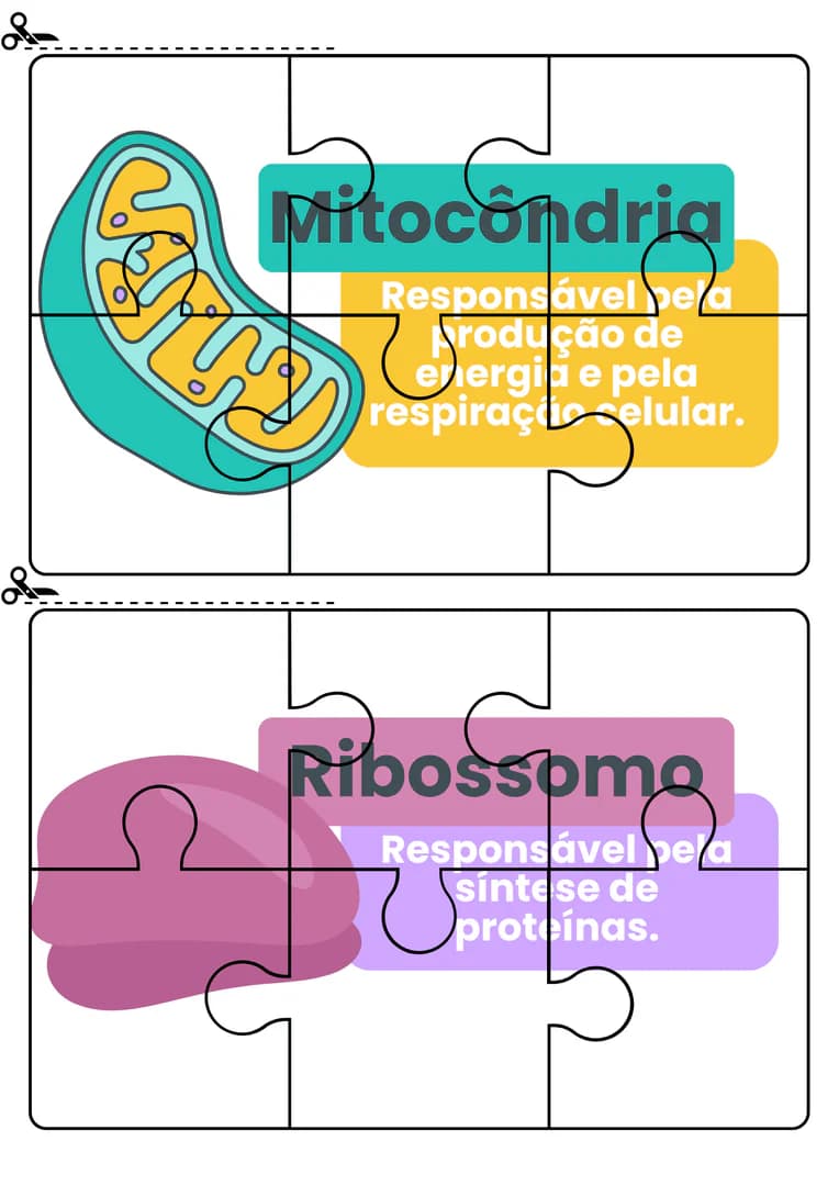 quebra-cabeca-celulas
