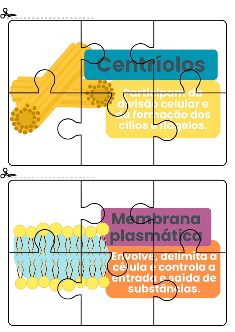 quebra-cabeca-celulas-1