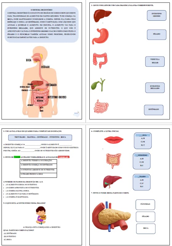 captura-de-tela-2025-05-01-223128