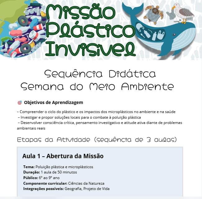 captura-de-tela-2025-05-30-141606