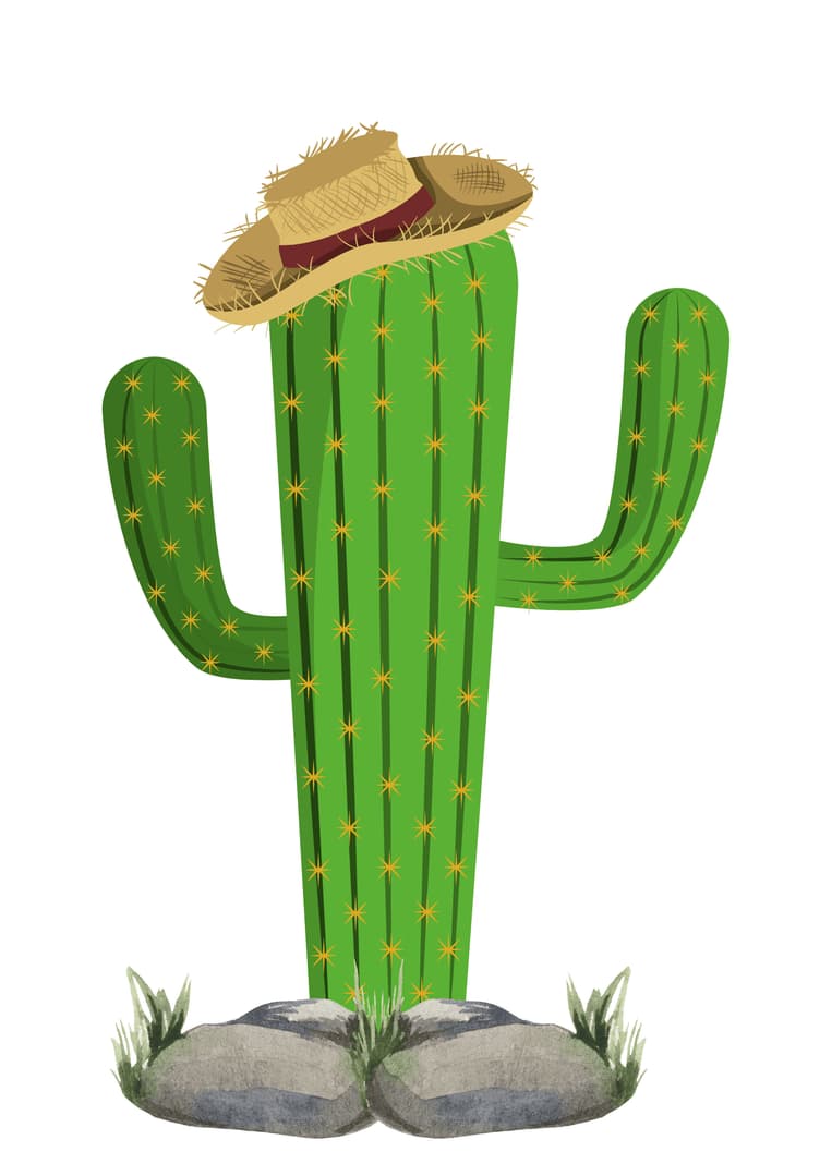 1_20250614_080656_0000