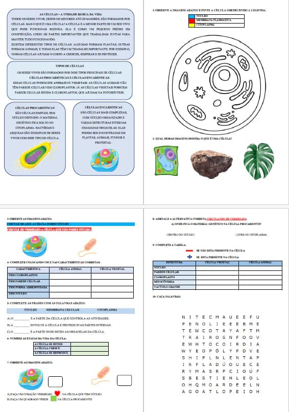 captura-de-tela-2025-06-03-112838