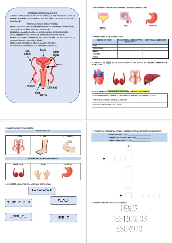 captura-de-tela-2025-06-05-140732