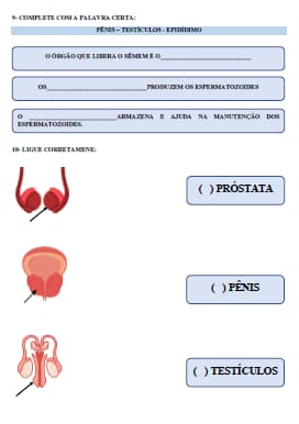 captura-de-tela-2025-06-05-140757