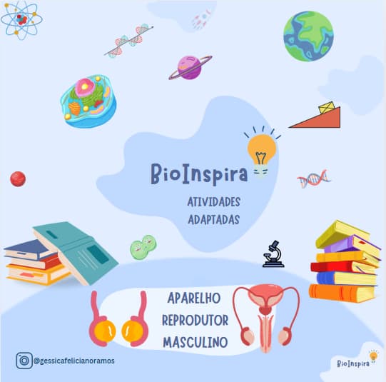 captura-de-tela-2025-06-05-140945