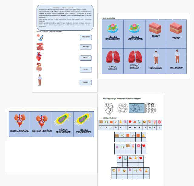 captura-de-tela-2025-06-10-193551