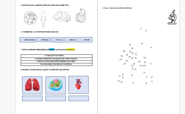 captura-de-tela-2025-06-10-193607