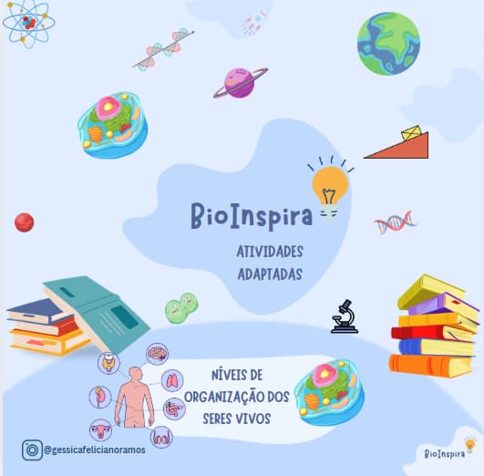 captura-de-tela-2025-06-10-194451