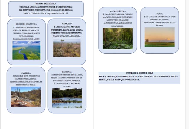 captura-de-tela-2025-06-13-200918