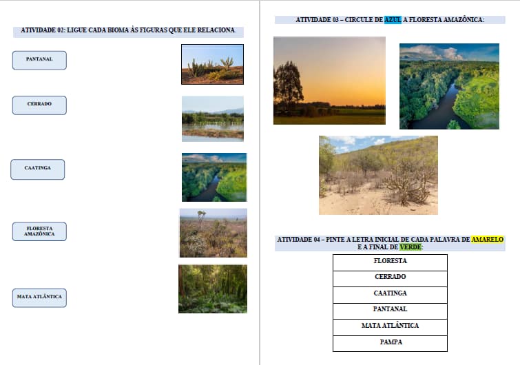 captura-de-tela-2025-06-13-200949