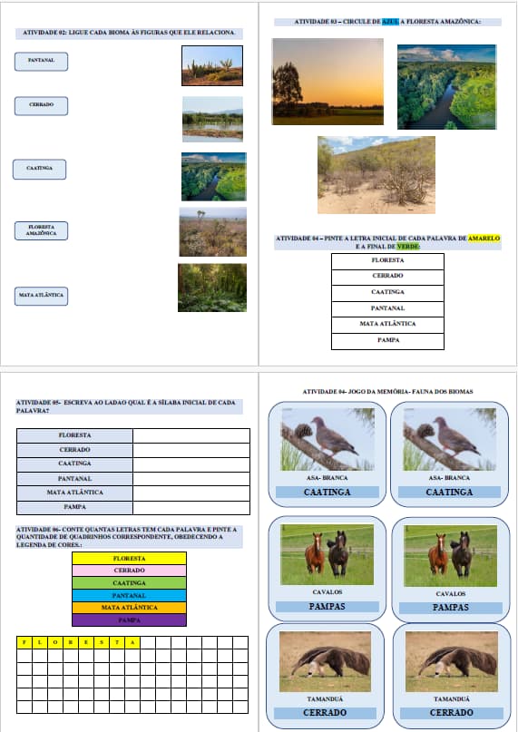 captura-de-tela-2025-06-13-201031