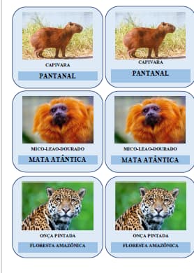 captura-de-tela-2025-06-13-201100