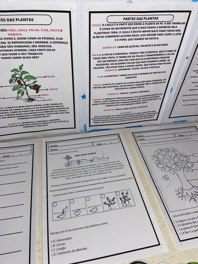 whatsapp-image-2024-09-20-at-18-30-58-2