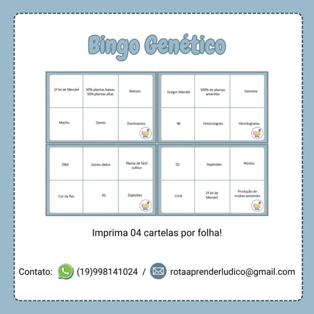 bingo-genetico-capa-2