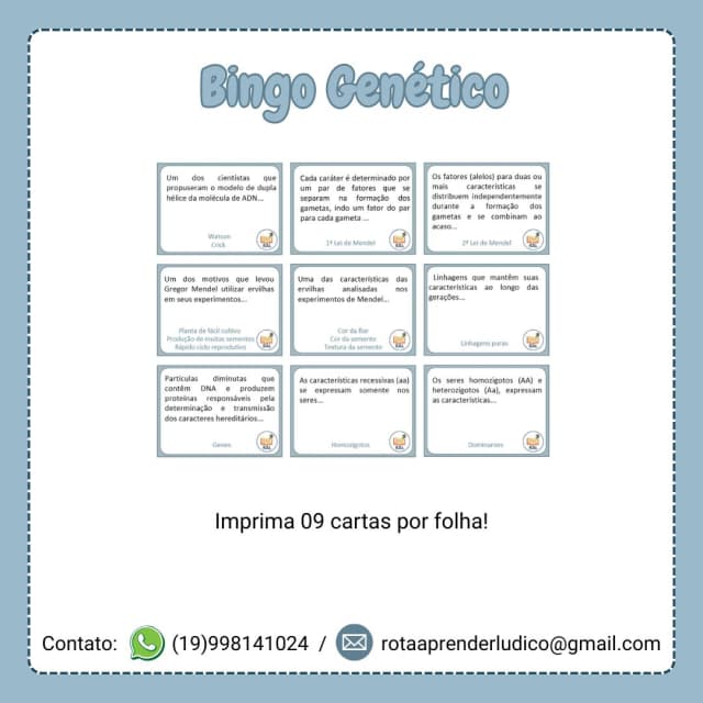 bingo-genetico-capa-3