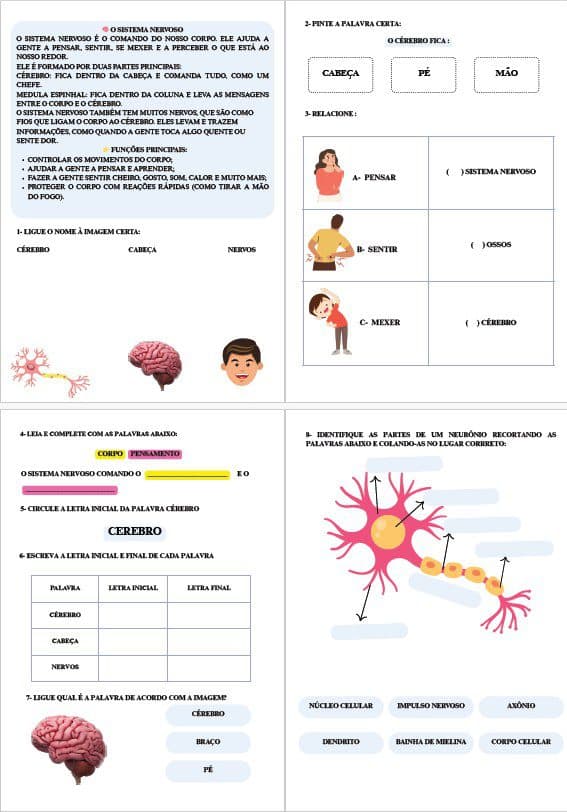 captura-de-tela-2025-07-02-210852