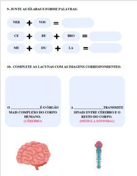 captura-de-tela-2025-07-02-210915