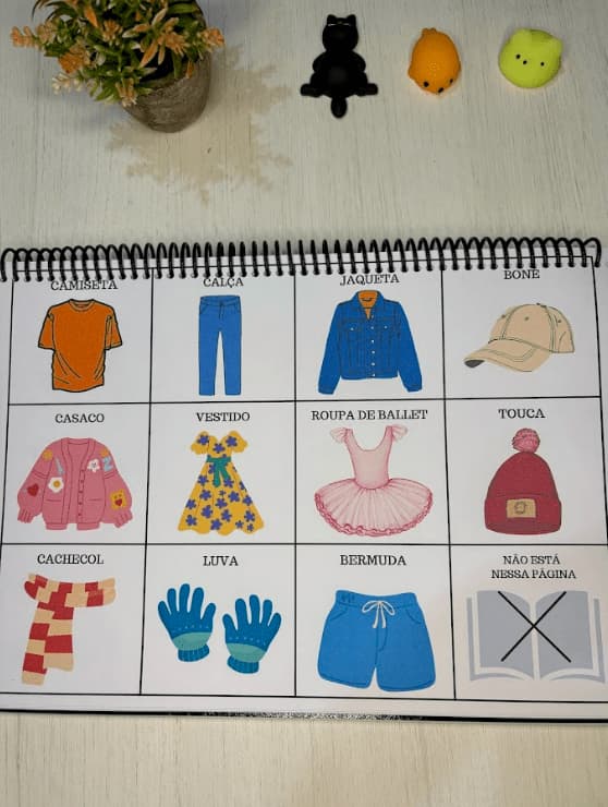 captura-de-tela-2025-07-29-145801-2